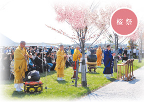 合同供養祭(桜祭)