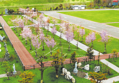 春の桜葬説明会を令和４年７月２０日（水）、２１日(木)に開催